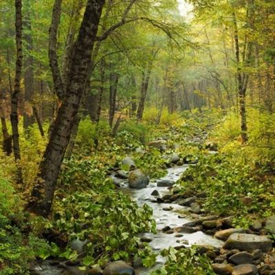 云开全站app下载手机版